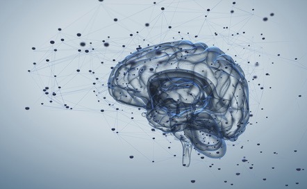 test braverman, personality, personalité, neurtransmetteur, neurotransmittors