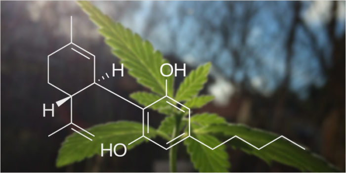 CBD, anxiété, propriétés, properties, Cannabidiol, toxicity, supplement,