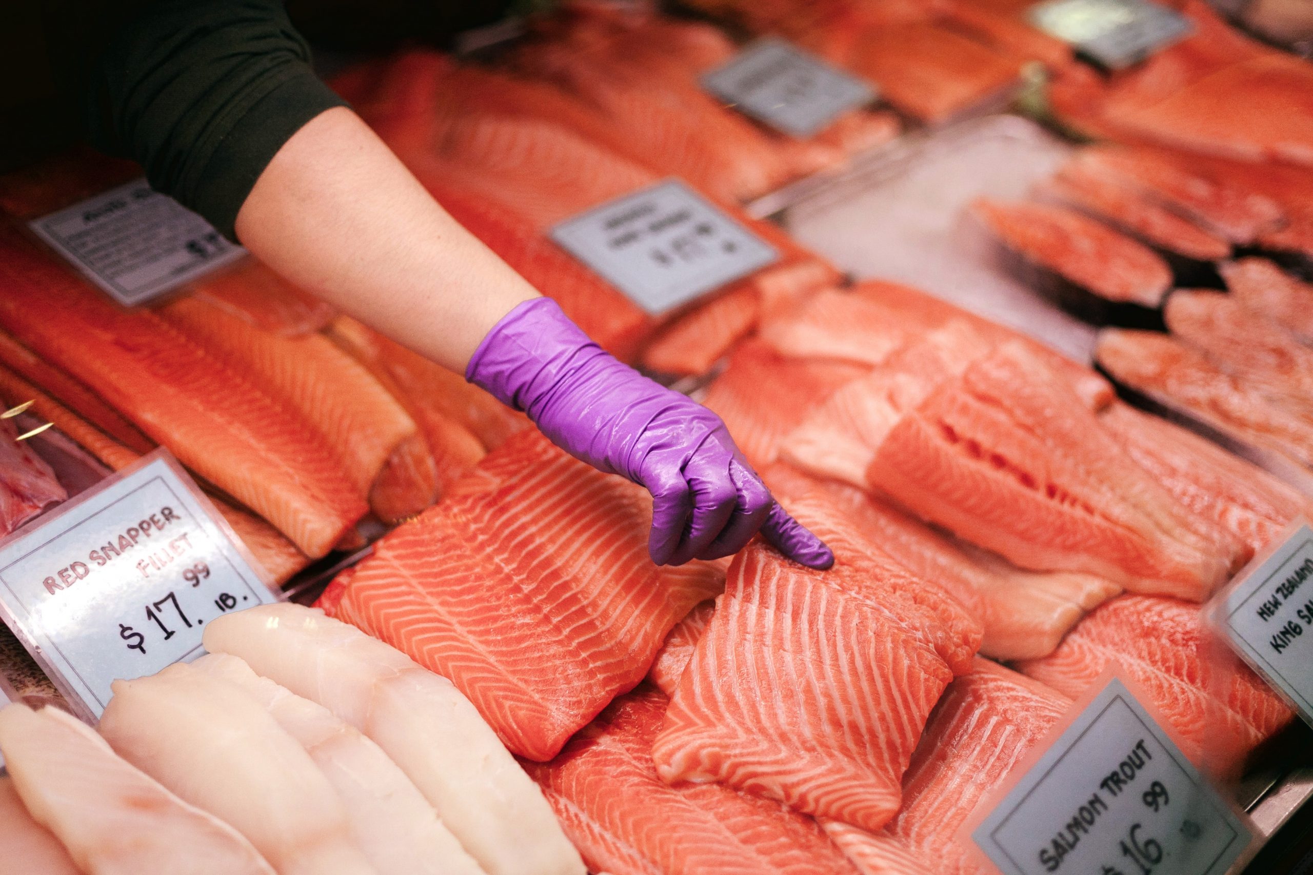 farmed salmon, toxic food, toxicity, saumon, élevage, toxique, toxicité